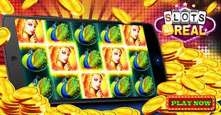 aapko 12 Sportsbook